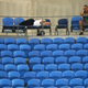 Illustration for article titled No One Was Awake For The Australian Open's Electrifying Bird-Poop Match